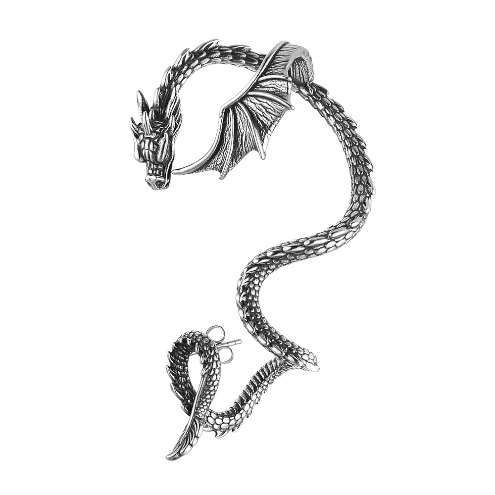 Amazon.com: HZMAN Stainless Steel Dragon Earrings Retro Punk